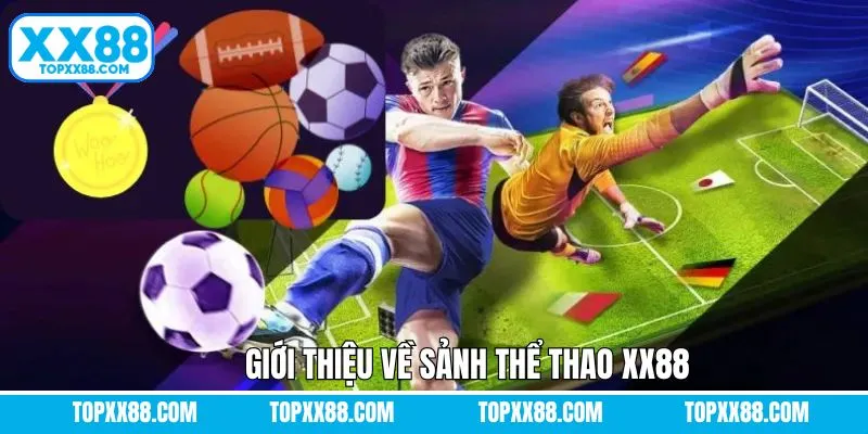 Sơ lược về sảnh sports hấp dẫn và chất lượng hiện nay